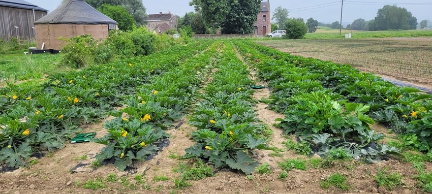 Visite-ferme-Goyet-14