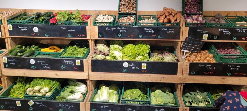 Visite-ferme-Goyet-4